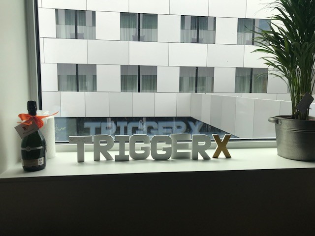 TriggerX Antwerpen Berchem